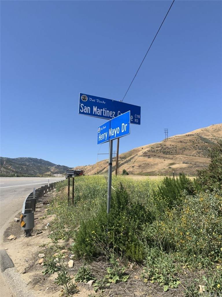 28499 San Martinez Grande Canyon Road - Photo 1