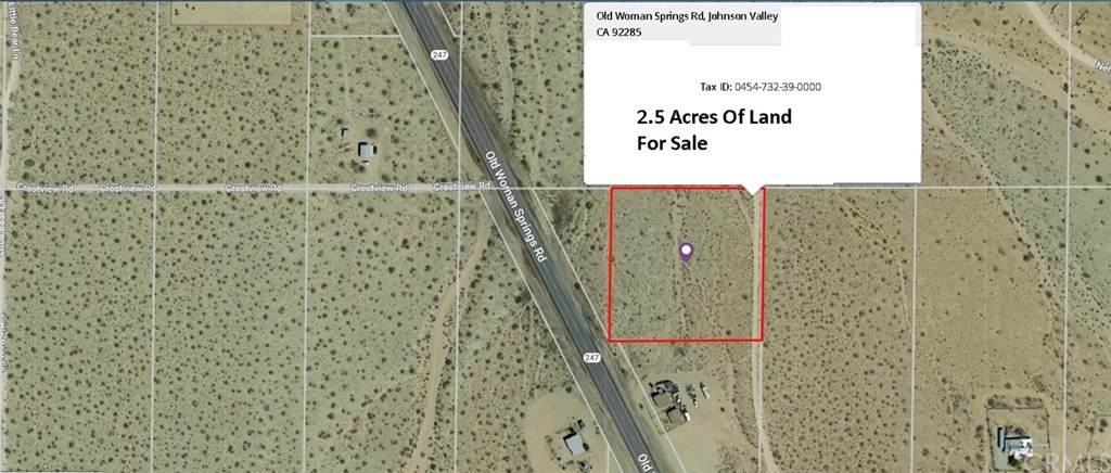 45473239 Old Woman Springs Road - Photo 1