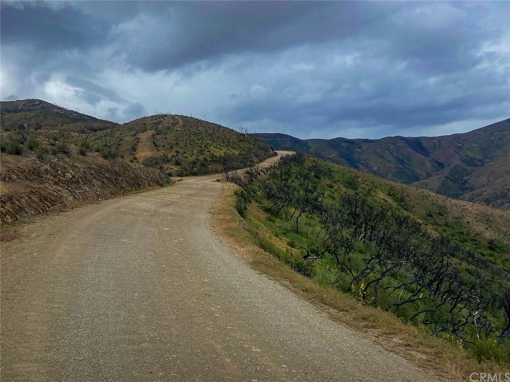 0 Co Rd 313 - Photo 1