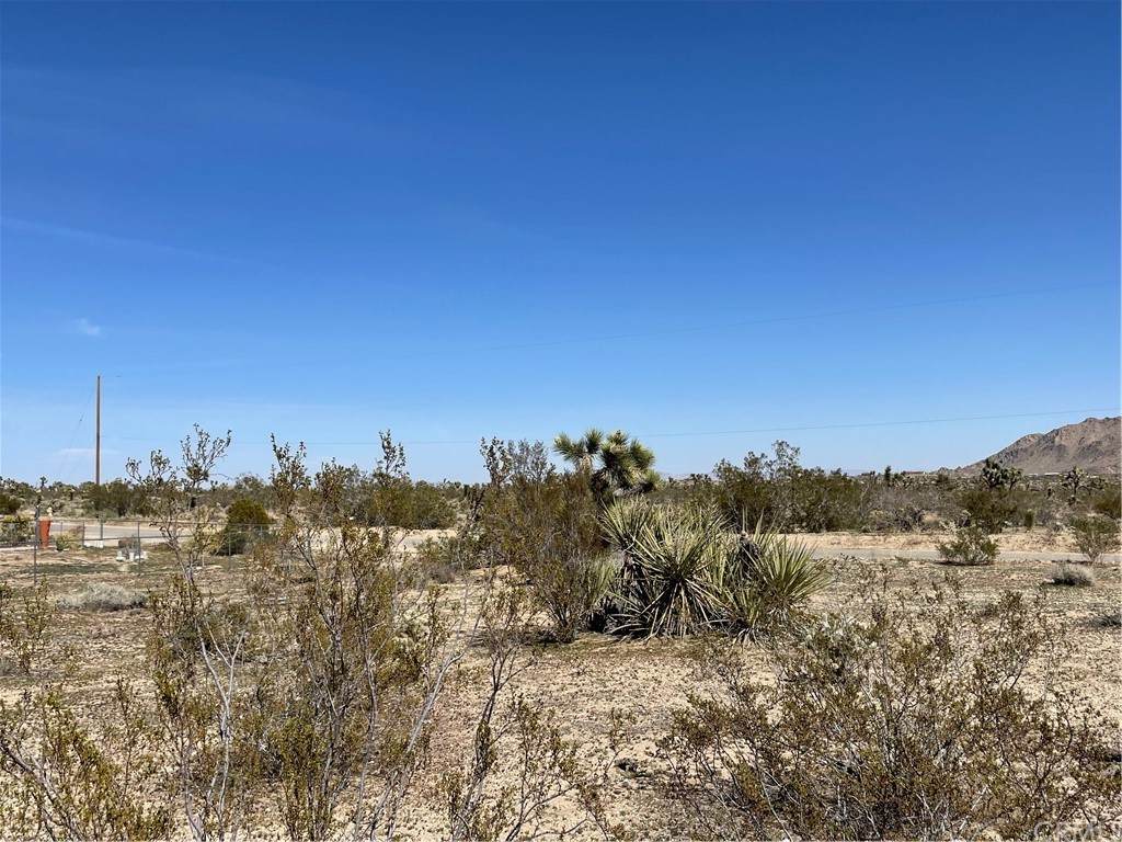 0 Indio/Sun Mesa - Photo 1