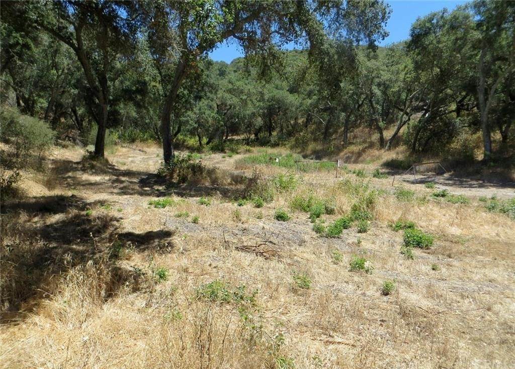 10059 Danford Canyon Road - Photo 1