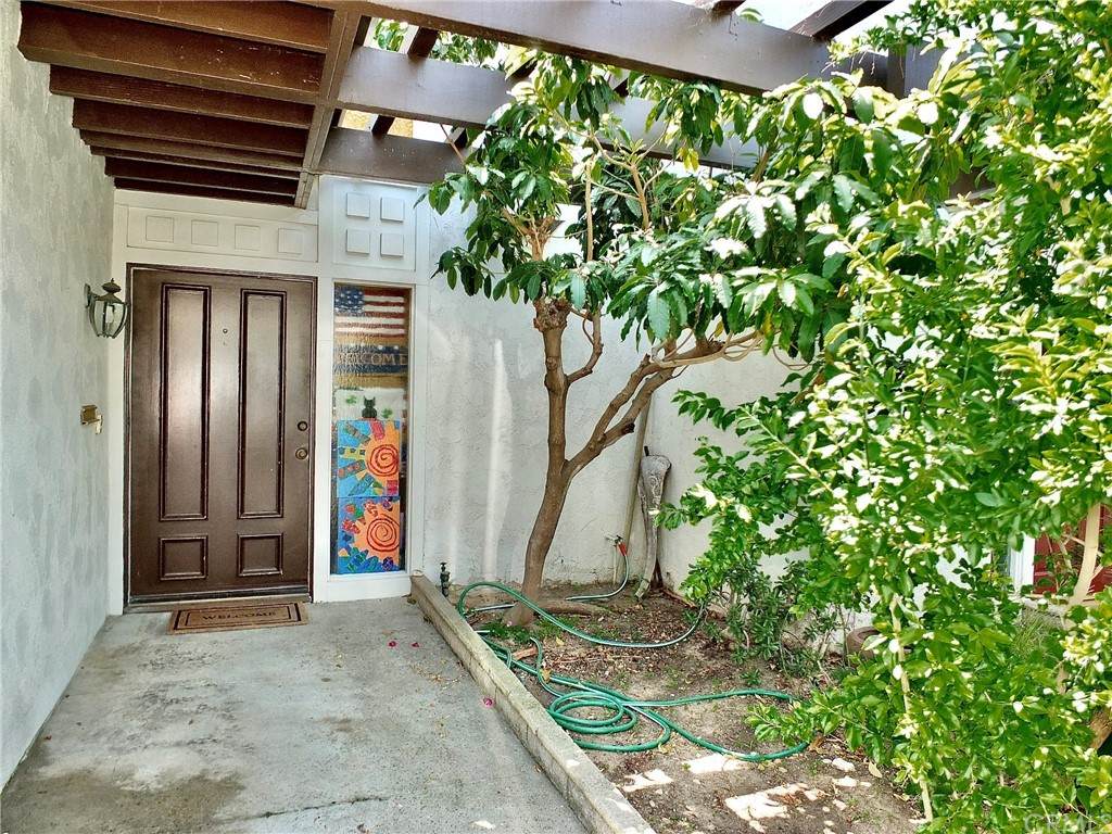 835 Amigos Way - Photo 1