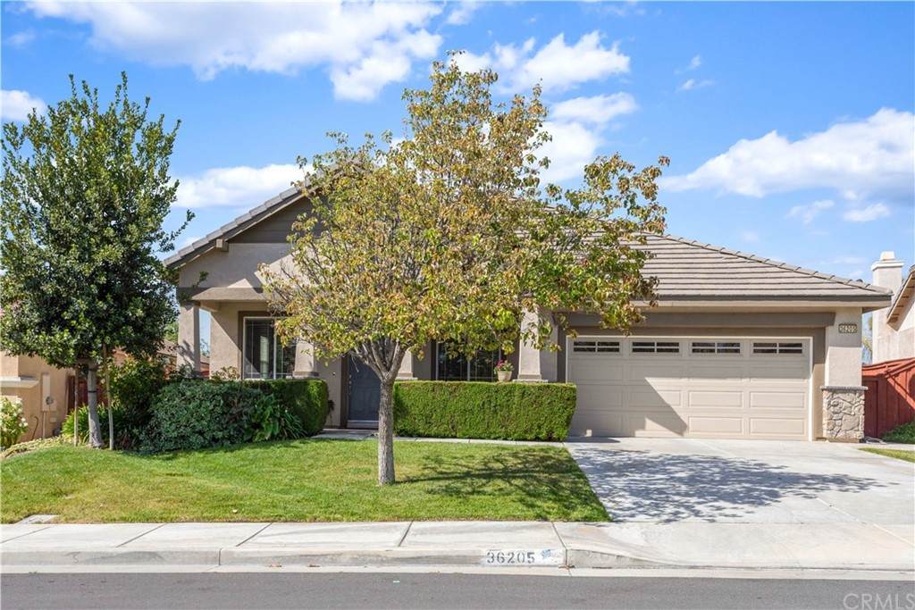 36205 Coffee Tree Place - Photo 1