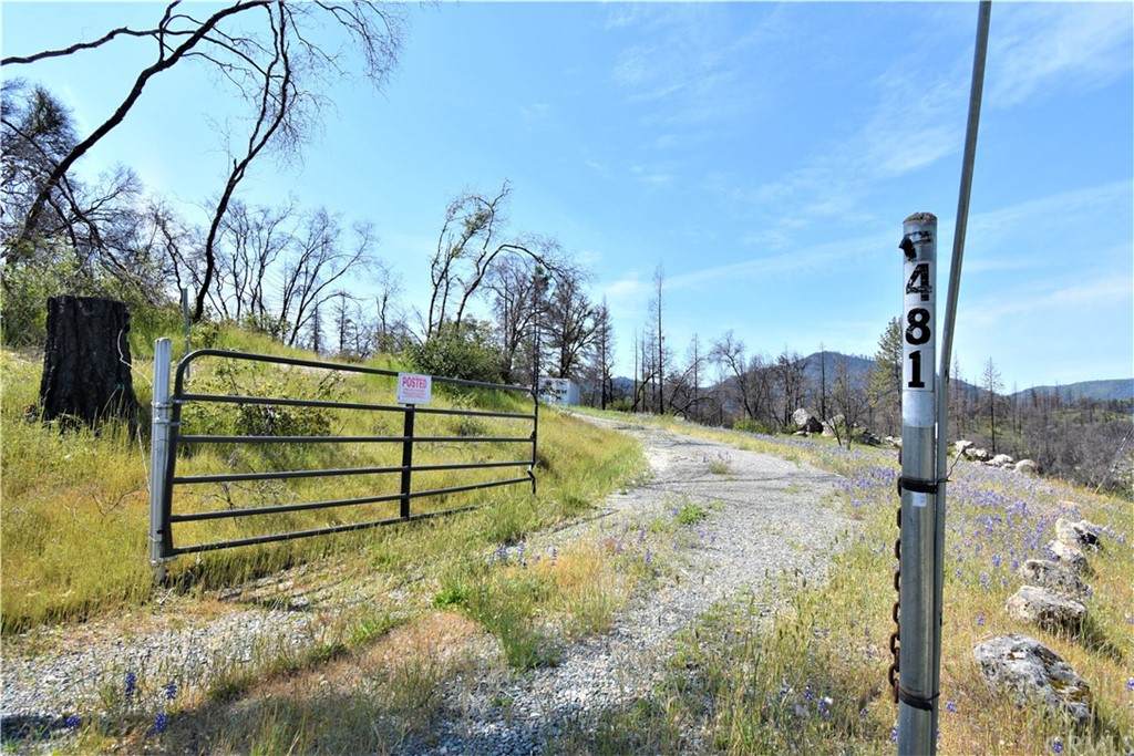 481 Craig Access Road - Photo 1