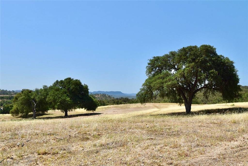 70850 New Pleyto Road - Photo 1