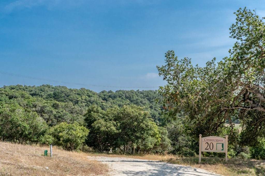 9065 Hidden Canyon Road - Photo 1