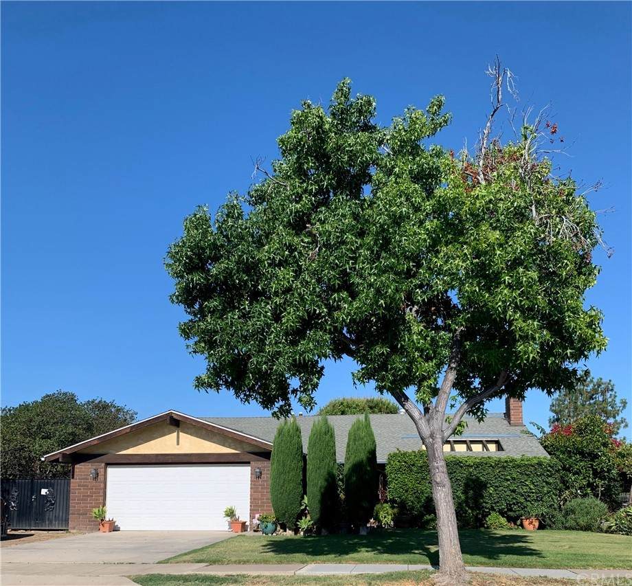 982 Shaffer Street - Photo 1