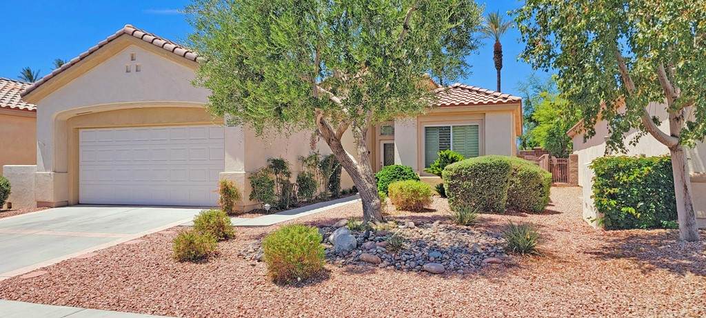 36011 Palomino Way - Photo 1