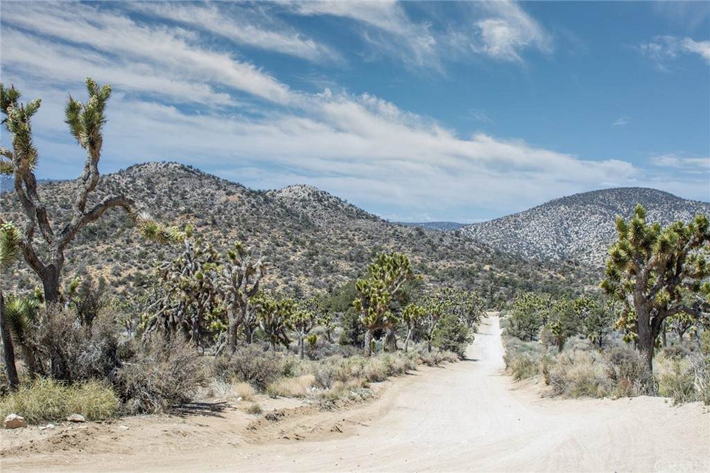 47000 Orion Trail - Photo 1