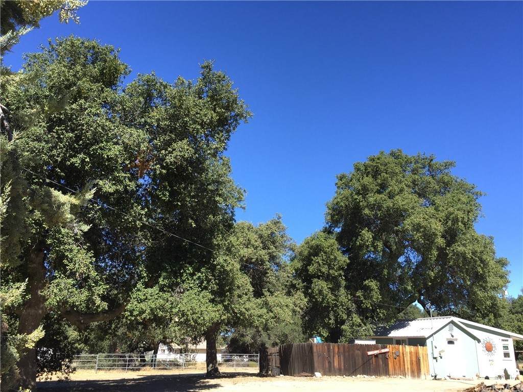 29964 Chihuahua Valley Road - Photo 1