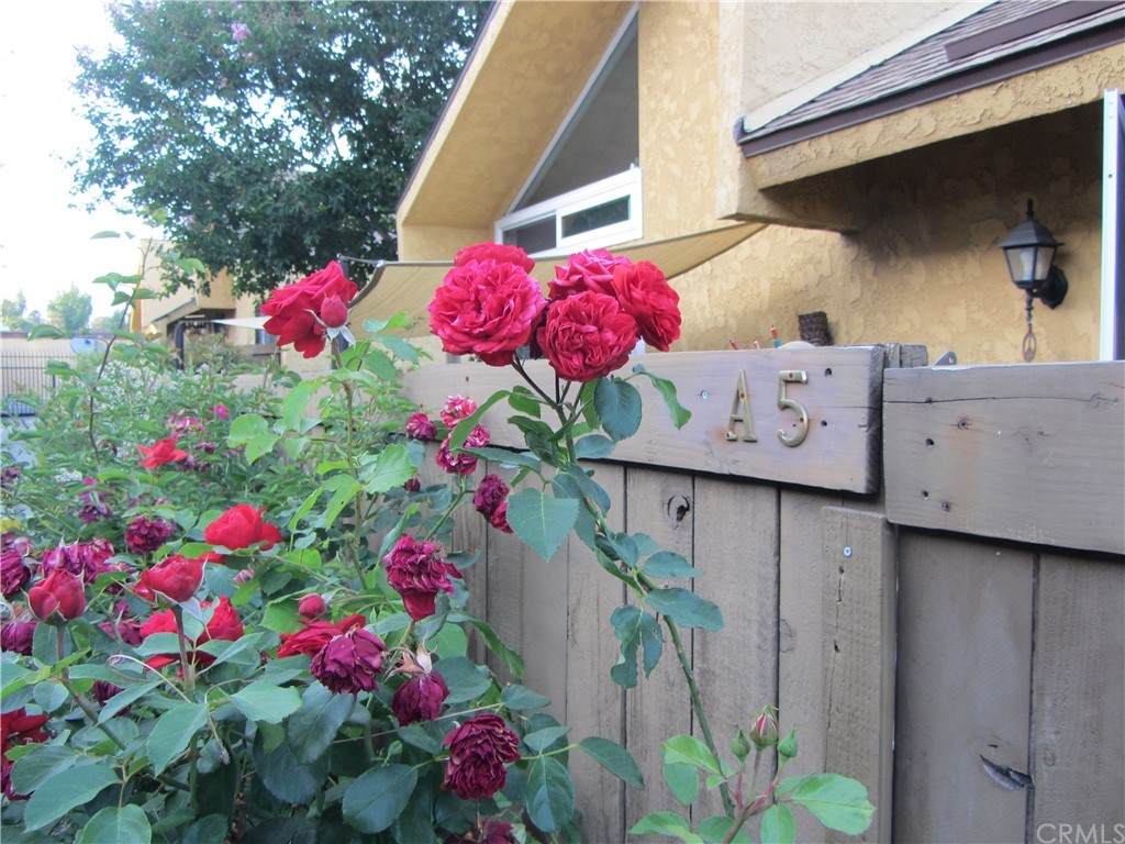 435 9th Street - Photo 1