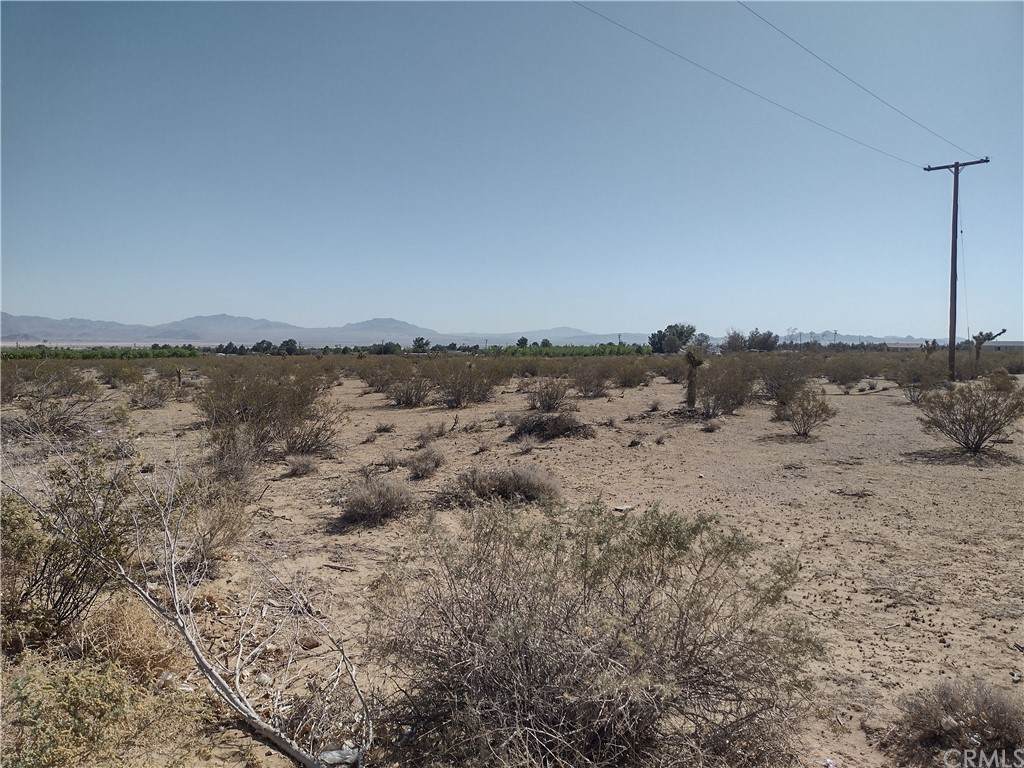 0 Custer (Near) Avenue - Photo 1