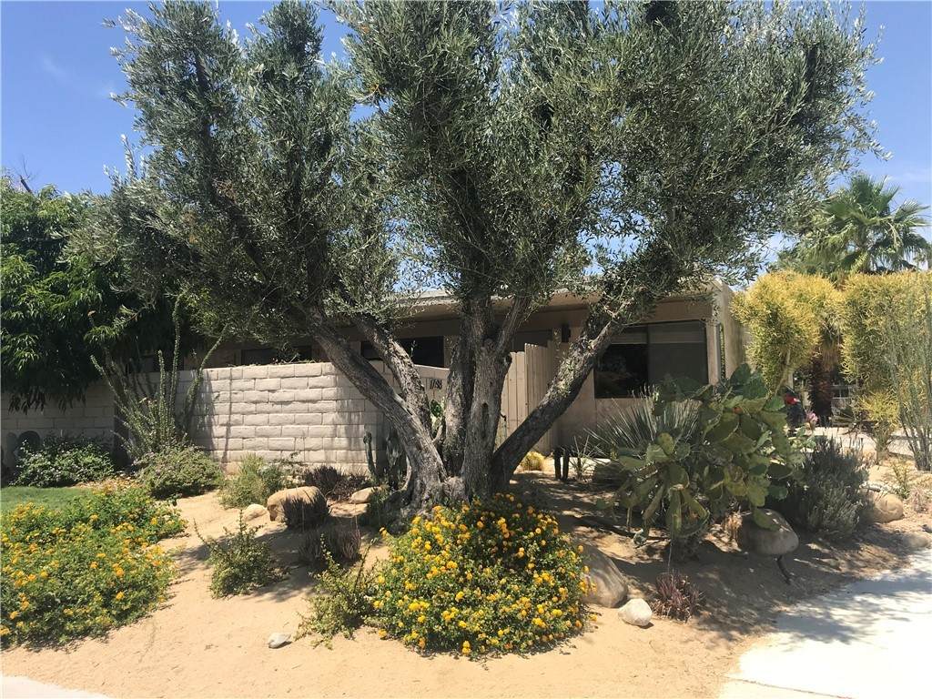 1788 E Chia Road - Photo 1