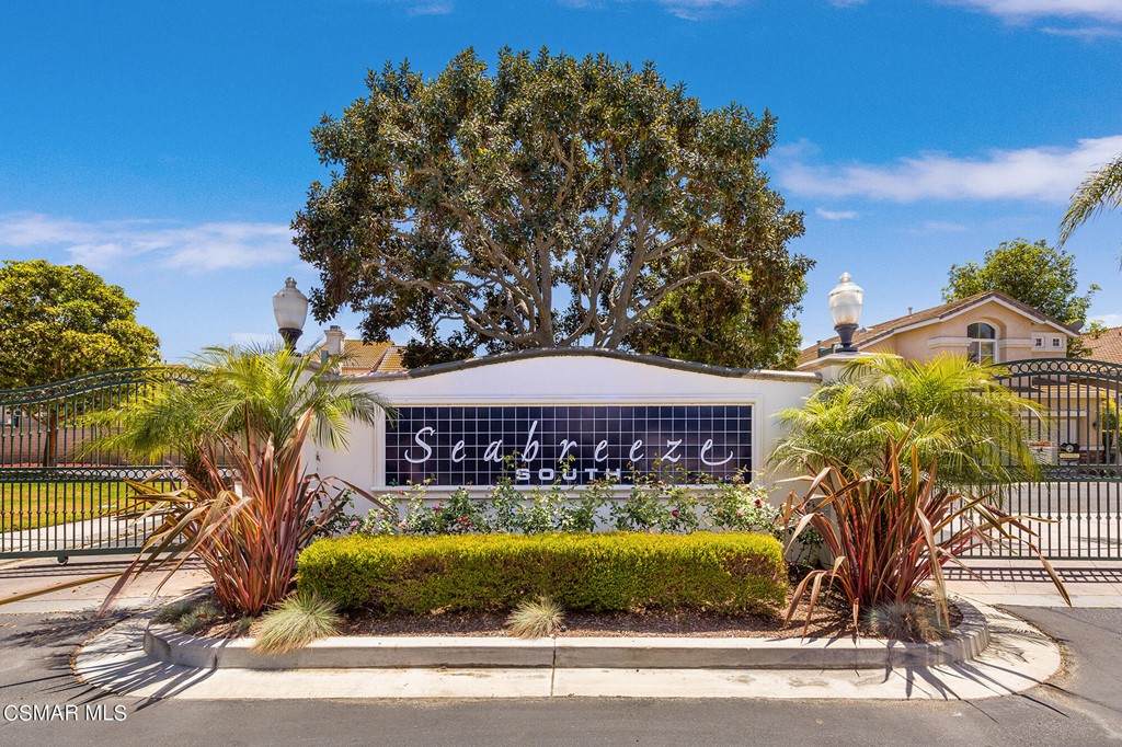 808 Calle Mar Vista - Photo 1
