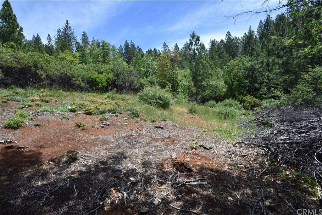 18063 Wetmore Way - Photo 1