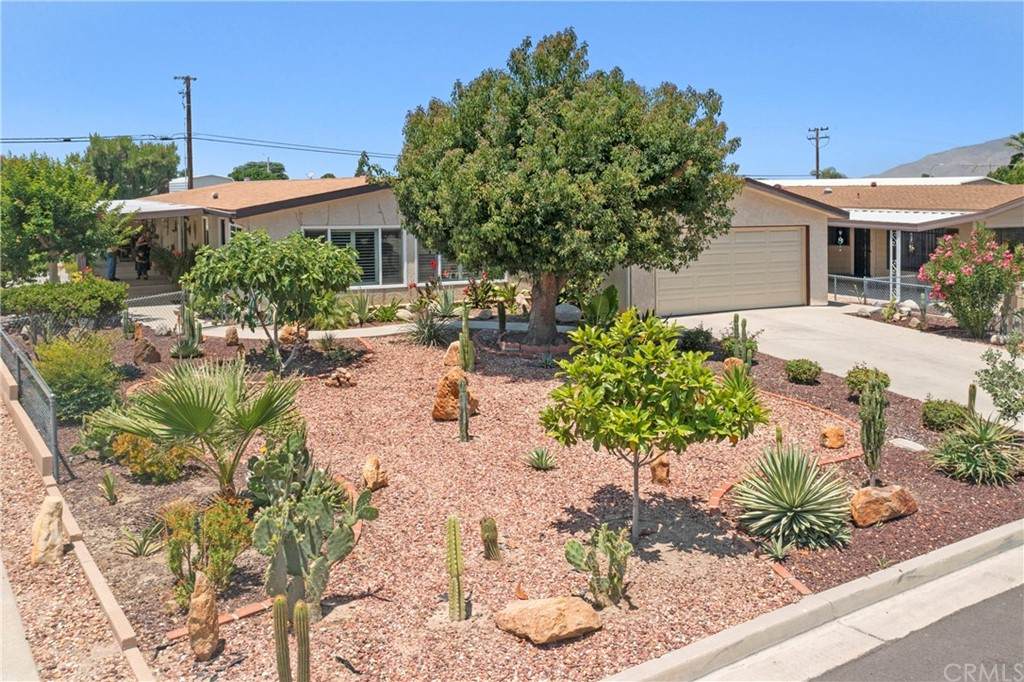 25187 Posey - Photo 1