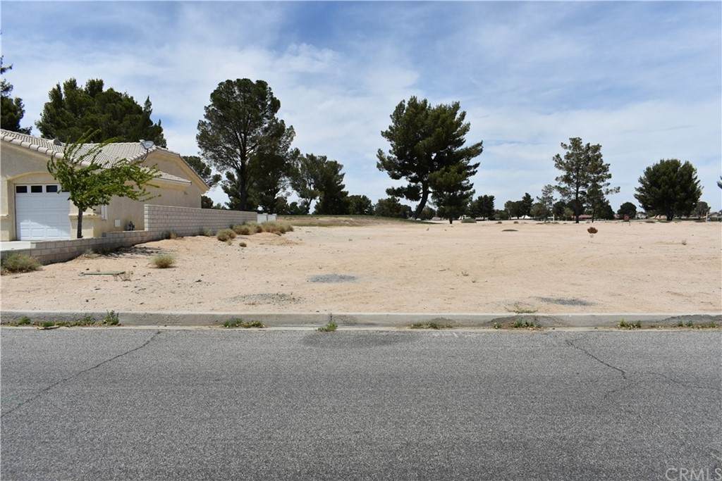 15030 Shady Elm Lane - Photo 1