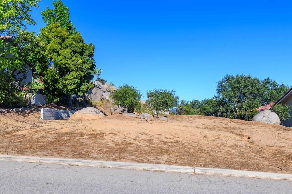 28543 Meadow Glen Way - Photo 1