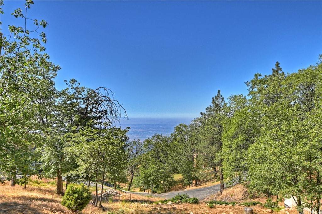 70 Panorama Road - Photo 1