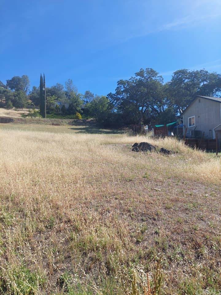 2860 Sutter Street - Photo 1