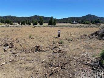 0 Boy Scout Camp Road - Photo 1