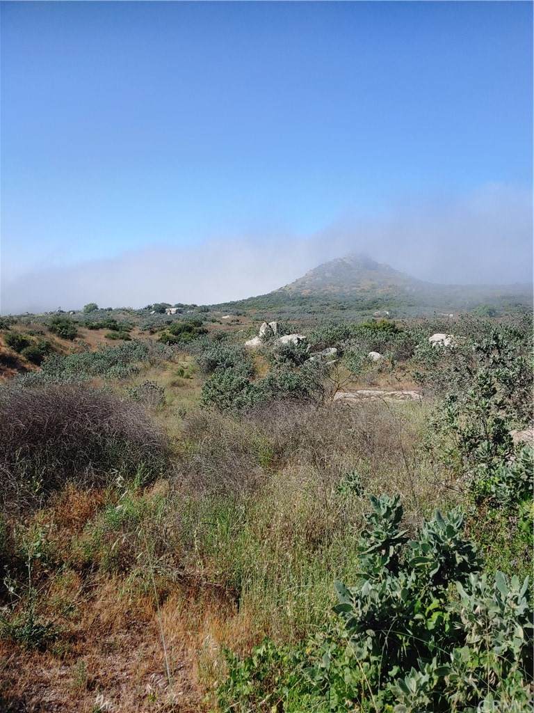 0 Lot 6 Scorpion Canyon Rd - Photo 1