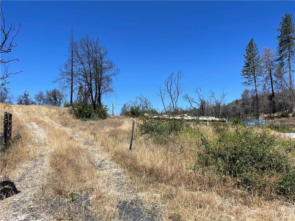 461 Craig Access Road - Photo 1