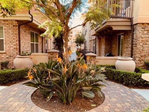 30 Aliso Ridge - Photo 1
