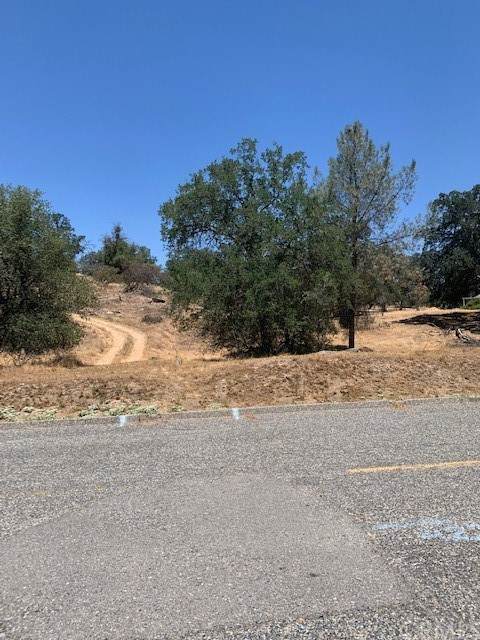 0 Deer Trail Way - Photo 1
