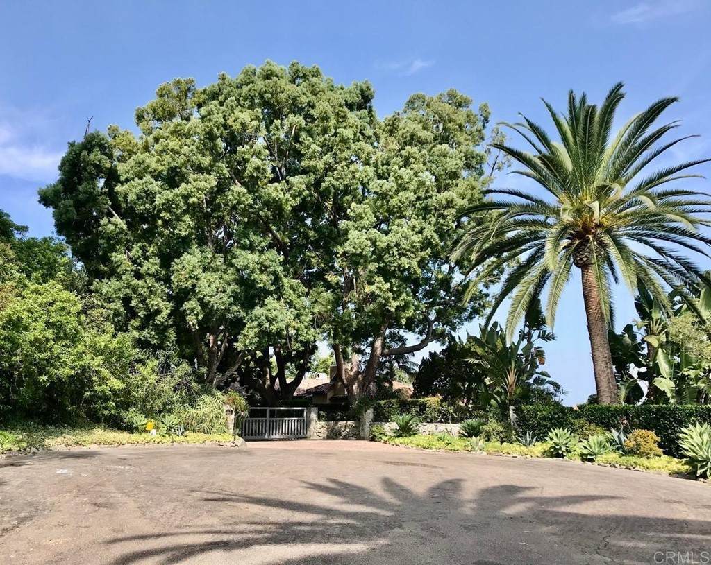 5505 Codorniz Guesthouse - Photo 1
