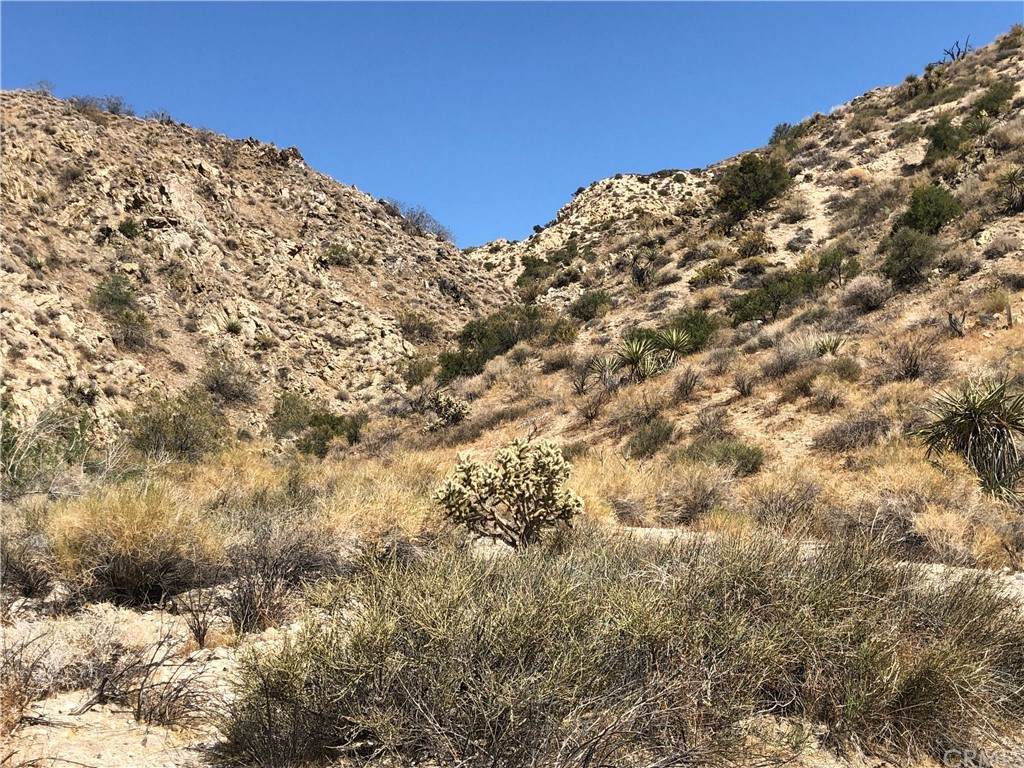 0 Near Flora Lane - Photo 1