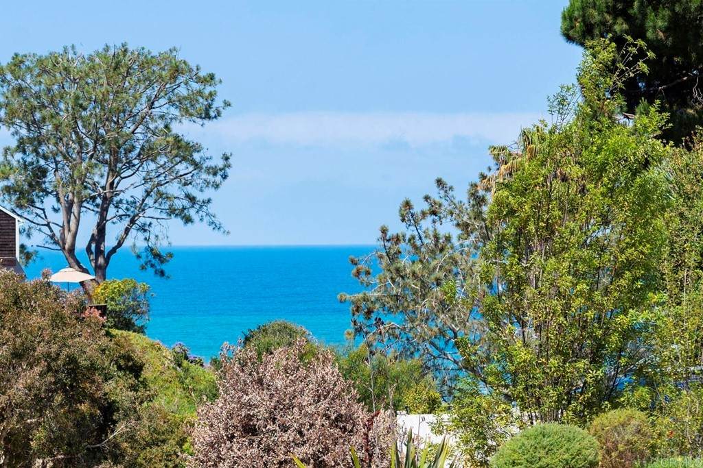 1925 Balboa Avenue - Photo 1