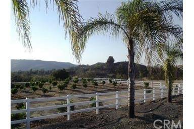 42775 Calle Montecillo Road - Photo 1