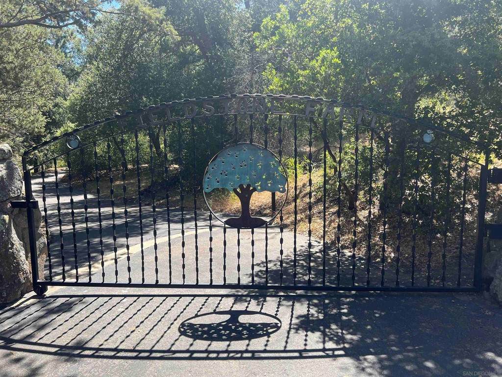 3331 Pine Hills - Photo 1