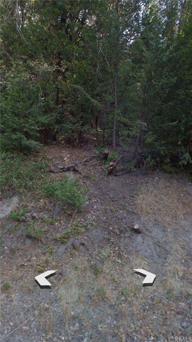 0 Bowl Road - Photo 1