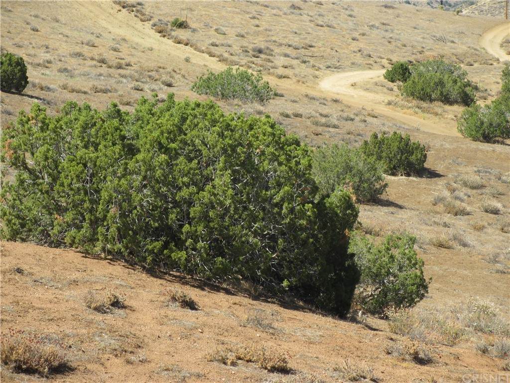 0 Governor Mine Road - Photo 1