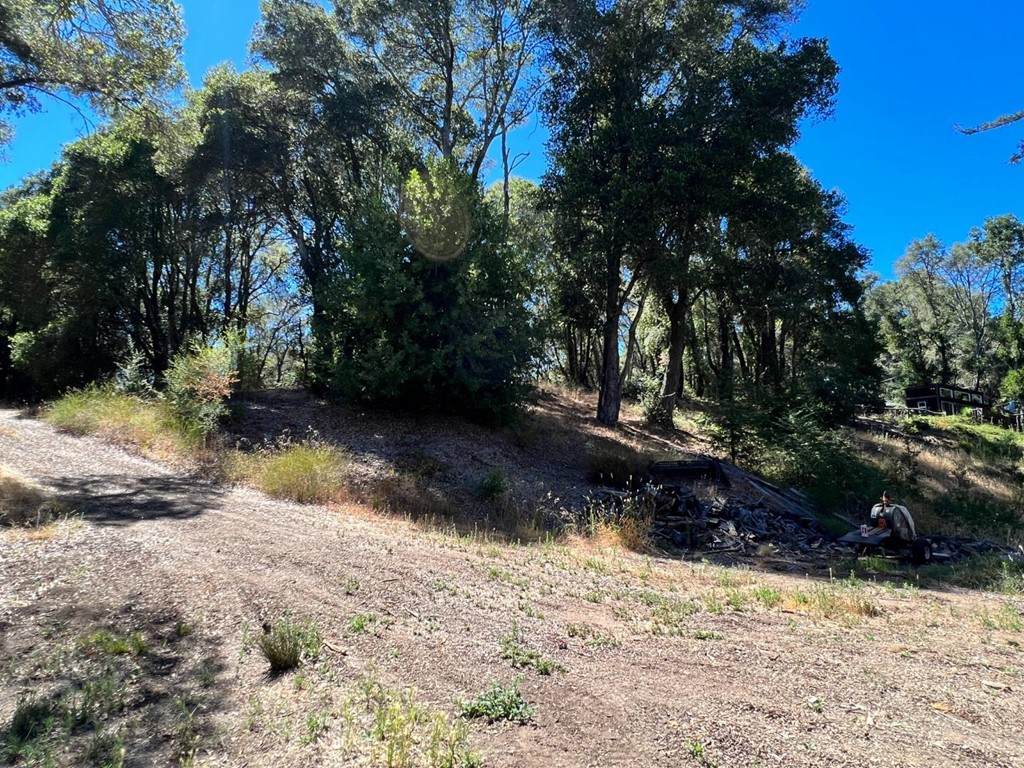 65 Hidden Meadow Lane - Photo 1
