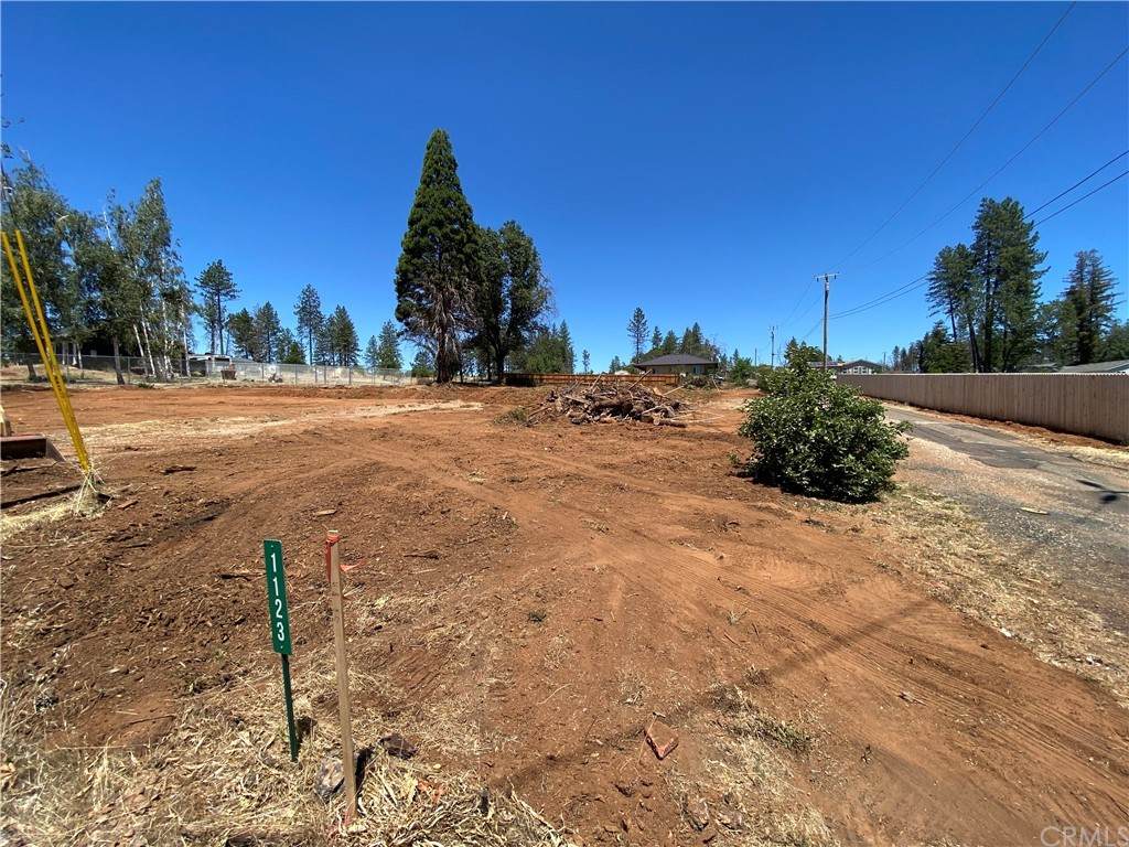 1123 Bille Road - Photo 1