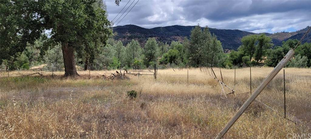 4556 New Long Valley Road - Photo 1