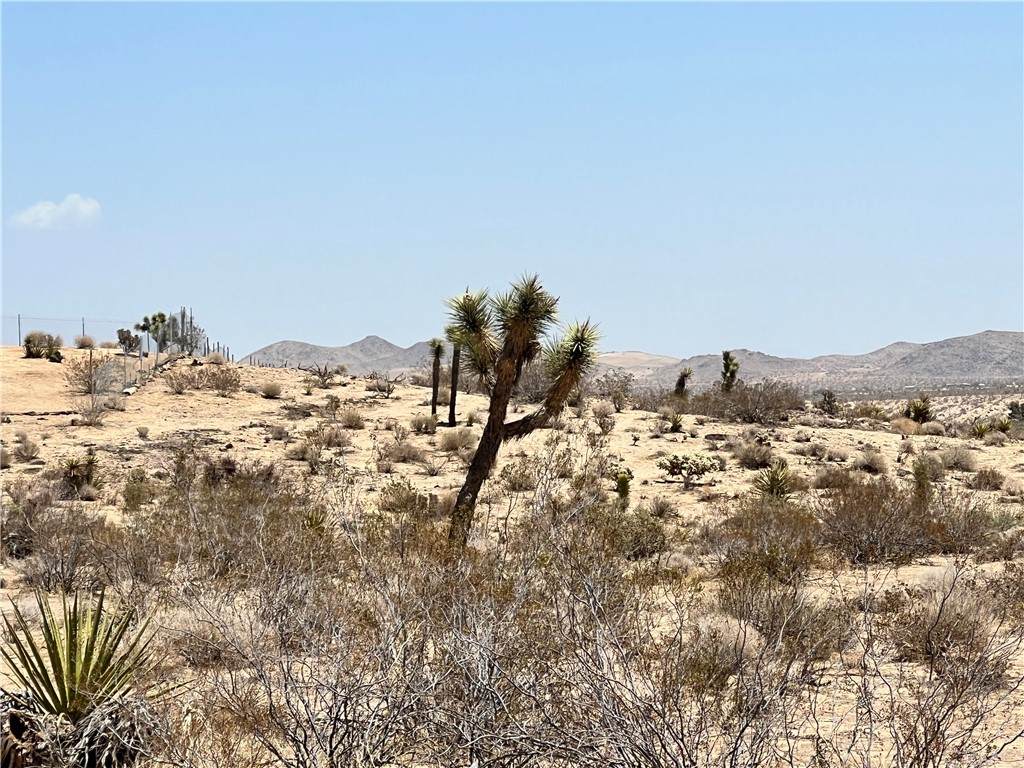 0 Old Woman Springs Road - Photo 1