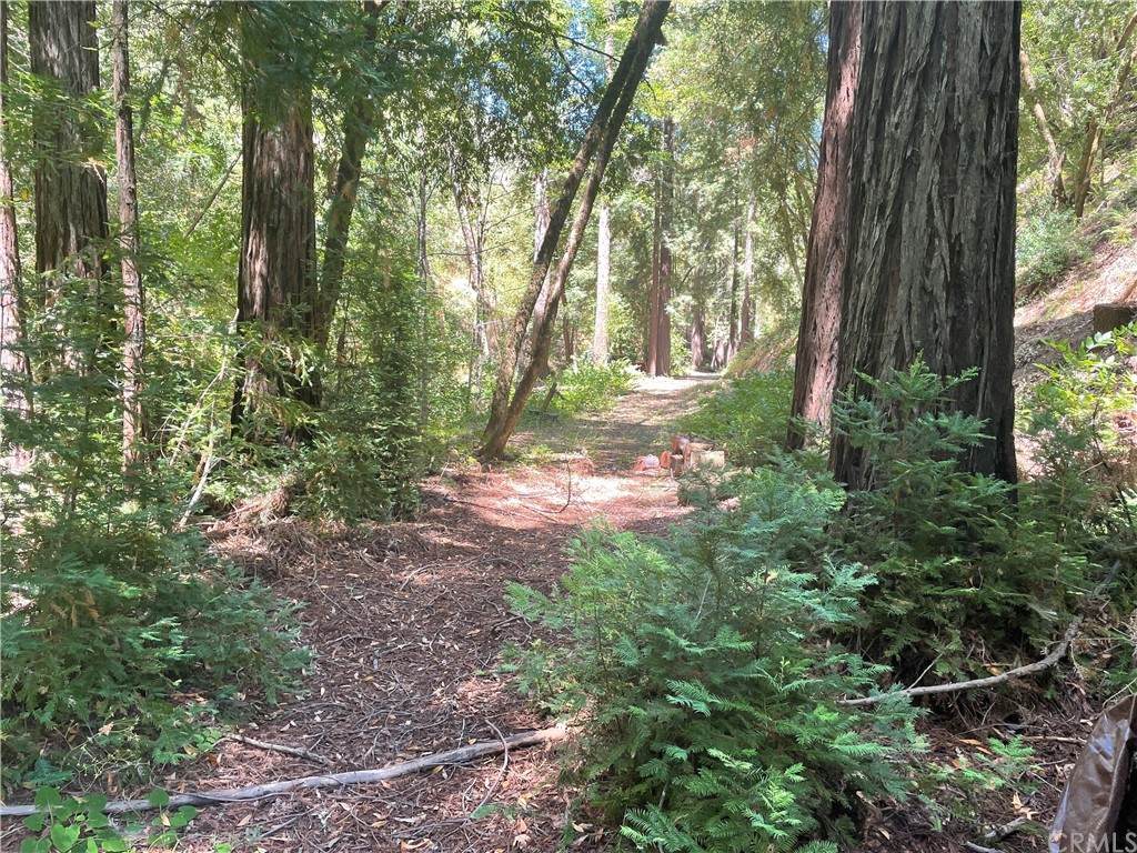 5221 Dry Creek Road - Photo 1