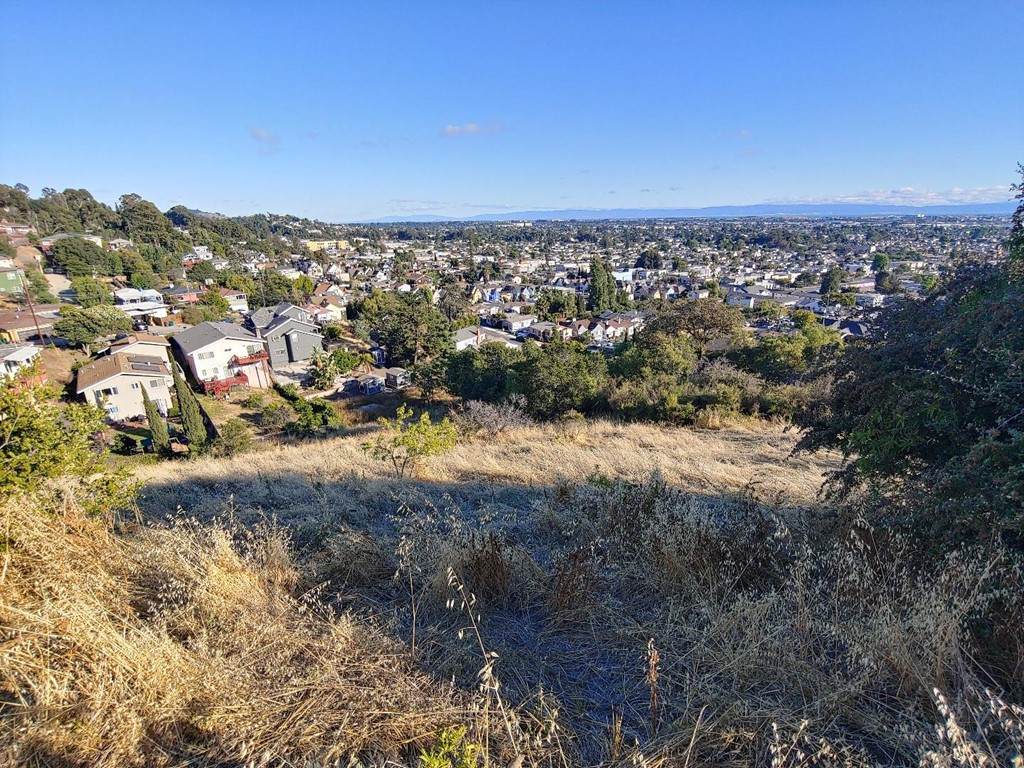 Simson Street - Photo 1