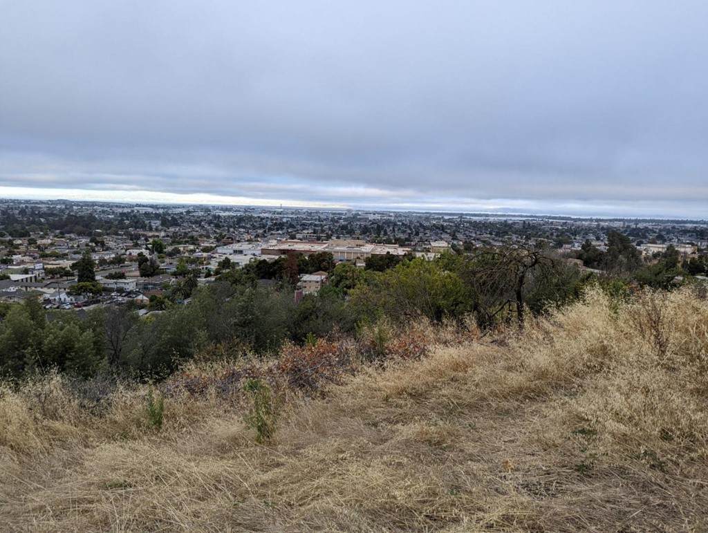 Outlook Avenue - Photo 1
