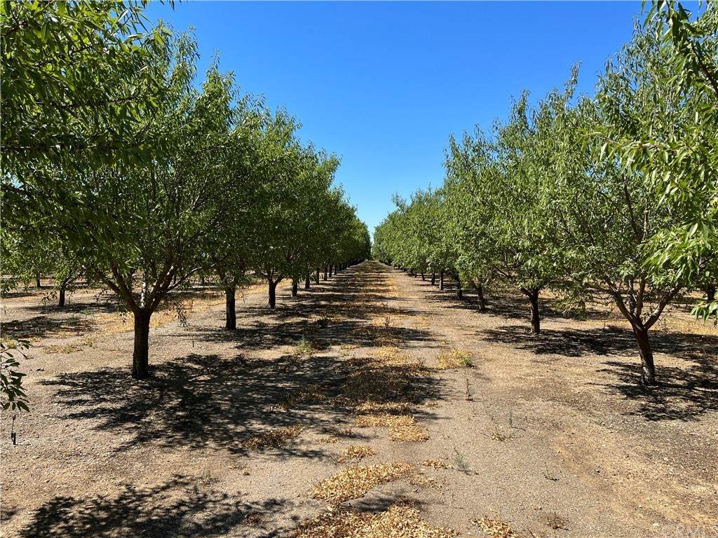 7165 County Road 24 - Photo 1