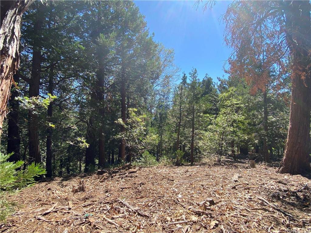 0 Grizzly Road - Photo 1