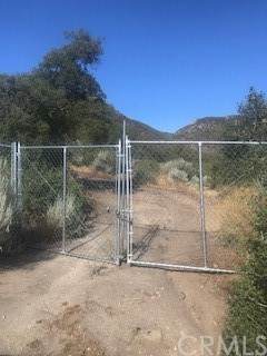 45101 Chapman Road - Photo 1