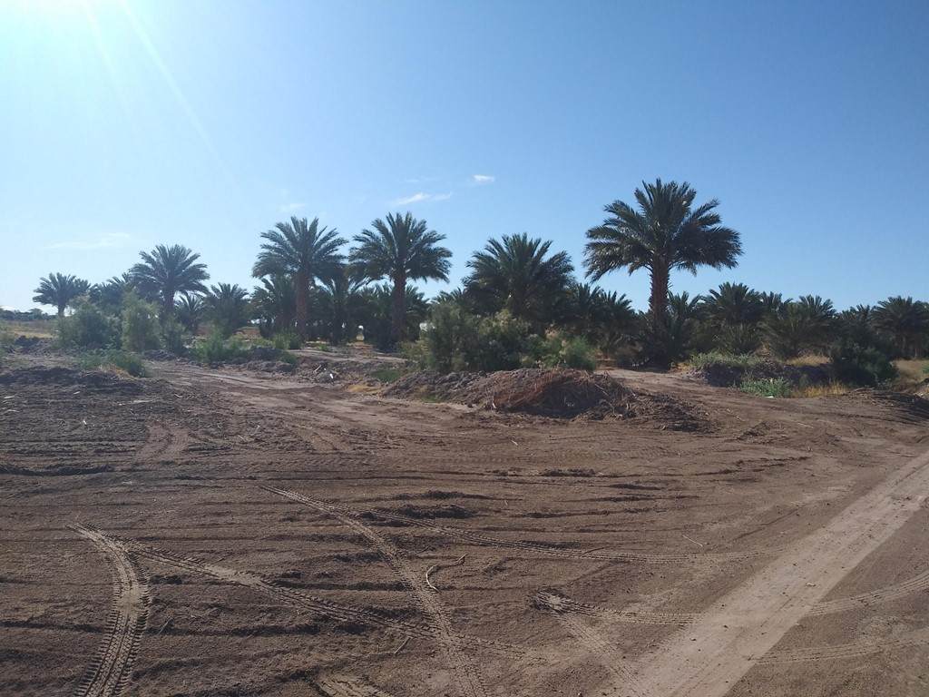 0 Hwy 111 - Photo 1