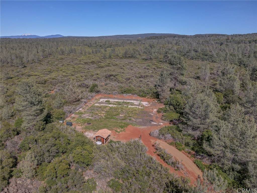 6875 Lillian Drive - Photo 1