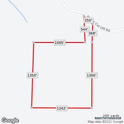0 Harris Cut Off Rd - Photo 1
