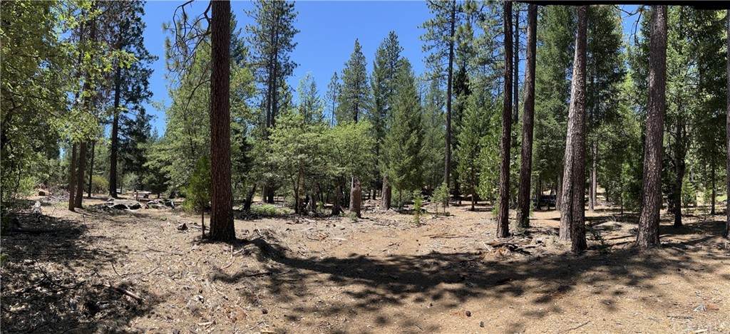11585 Airstrip Road - Photo 1